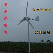山東藍潤家用風力發電機