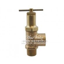 16-501-01系列APOLLO安全閥